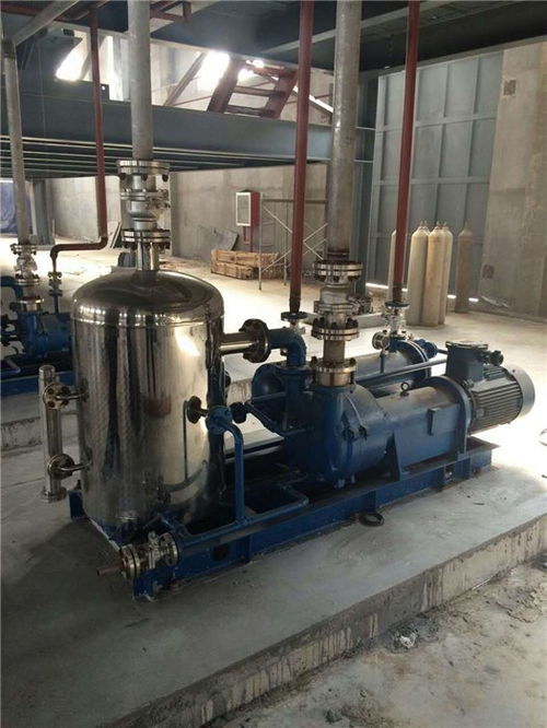 水環(huán)真空泵維修與化工設(shè)備維護(hù) 從惠東案例看專業(yè)真空泵廠家的服務(wù)價值